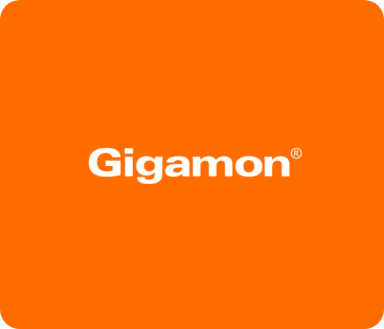 gigamon-2